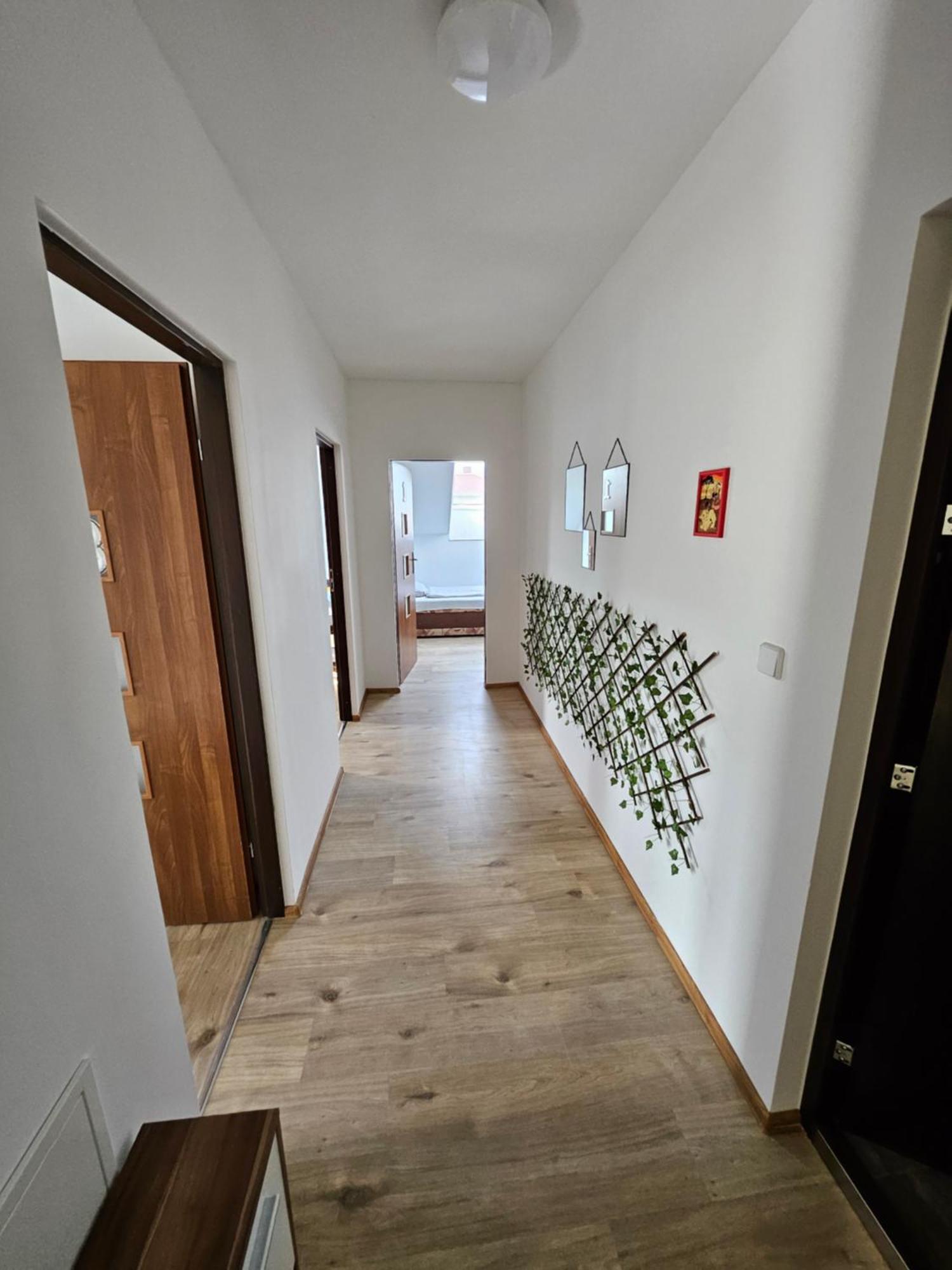 Wohngemeinschaft- Einzelne Zimmer Dresde Exterior foto